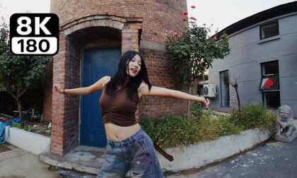 Immersive Dance Viewing shakeit 沉浸式舞蹈 摇一摇 1.06GB