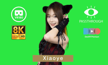 vr资源app下载 Xiaoye 小叶