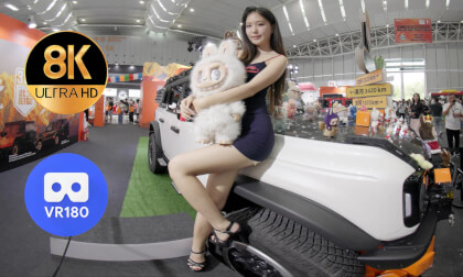 性感车模和拉布布 Girls and Labubu vr视频3d专区